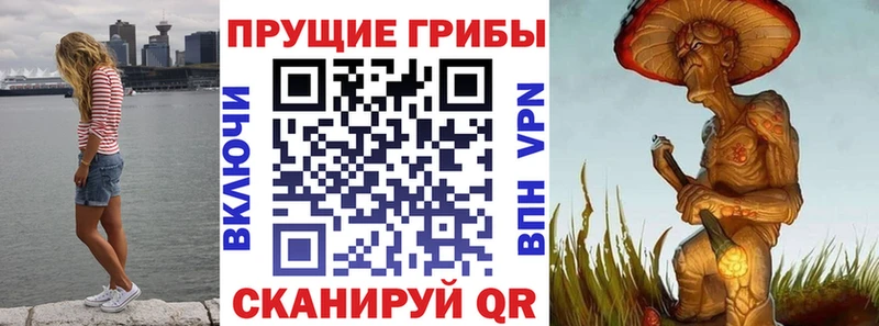 Псилоцибиновые грибы Psilocybine cubensis  купить наркотики цена  omg ССЫЛКА  Невельск 